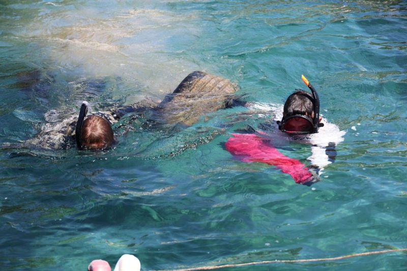 BLUE FOR THE SEA: BODRUM’S UNDERWATER CLEANUP CONTINUES İN TÜRKBÜKÜ
