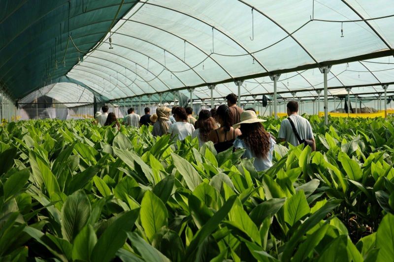 BODRUM WELCOMES YOUNG FARMERS FOR SUMMER AGRO-CULTURAL CAMP