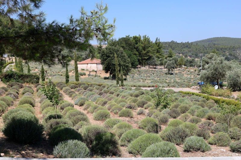 BODRUM WELCOMES YOUNG FARMERS FOR SUMMER AGRO-CULTURAL CAMP
