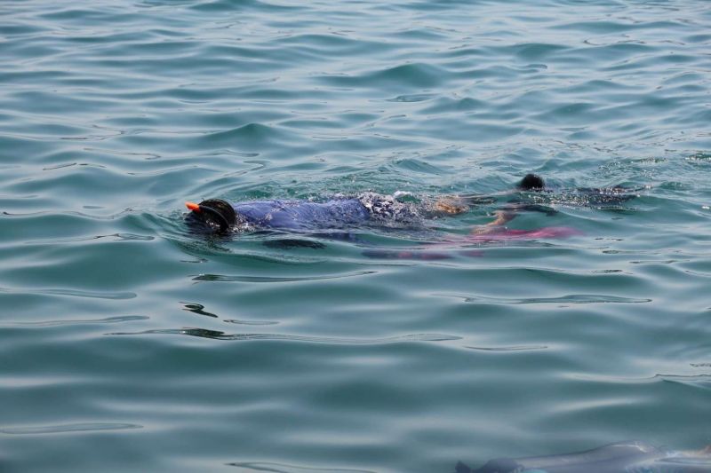 SEABED CLEANUP IN TORBA