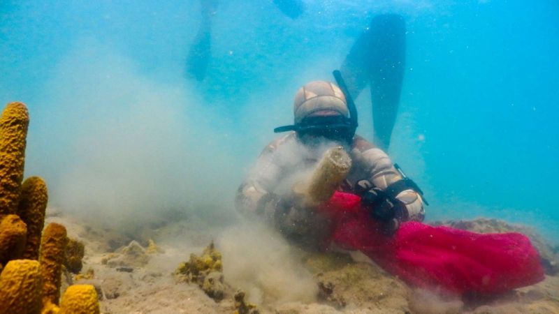 SEABED CLEANUP IN TORBA