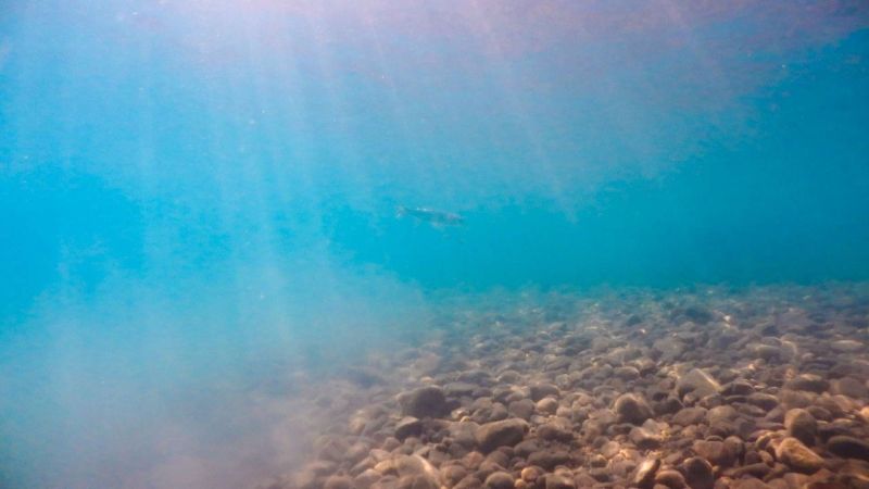 SEABED CLEANUP IN TORBA