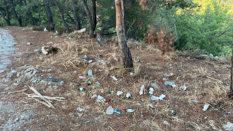 BODRUM MUNICIPALITY INTENSIFIES FOREST FIRE PREVENTION EFFORTS
