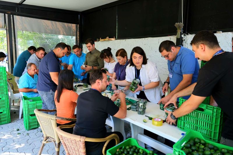 YEŞİL BODRUM MANDALİNİ MARKETLERDE VE BELEDİYE KAFELERDE VATANDAŞLA BULUŞUYOR