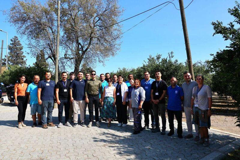 YEŞİL BODRUM MANDALİNİ MARKETLERDE VE BELEDİYE KAFELERDE VATANDAŞLA BULUŞUYOR