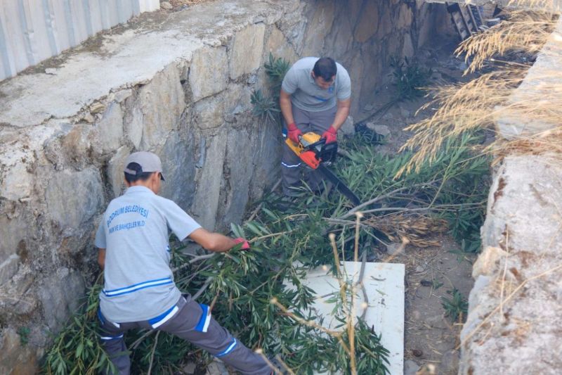MUNICIPAL TEAMS STEP UP CLEANING OPERATIONS IN STREAMS