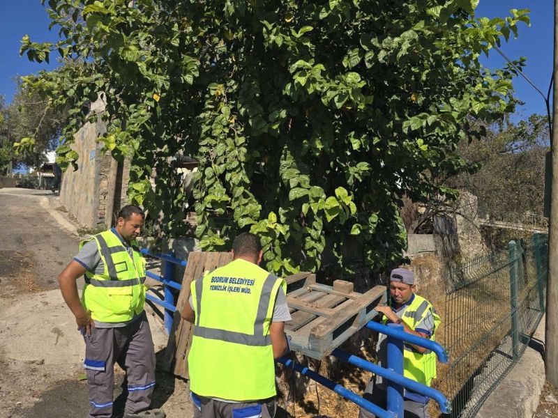 MUNICIPAL TEAMS STEP UP CLEANING OPERATIONS IN STREAMS