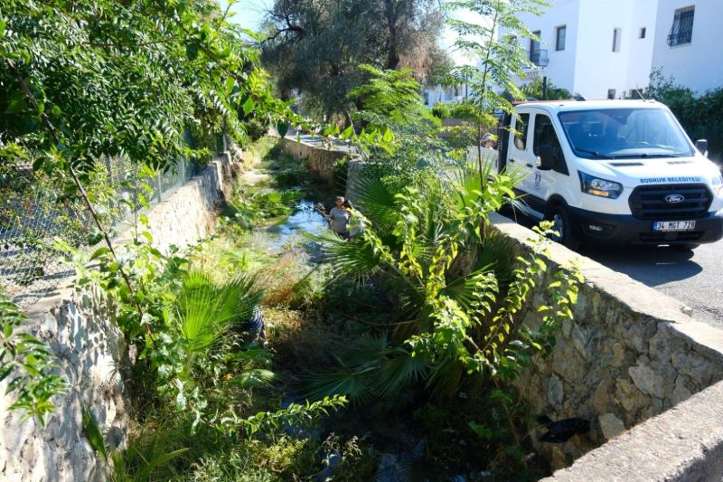 MUNICIPAL TEAMS STEP UP CLEANING OPERATIONS IN STREAMS