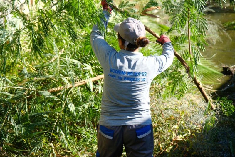 MUNICIPAL TEAMS STEP UP CLEANING OPERATIONS IN STREAMS