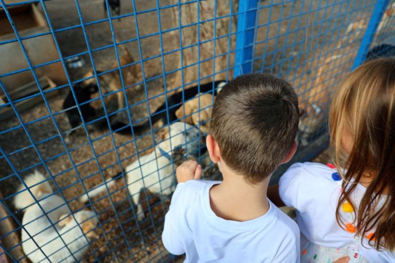 FROM RESCUE TO REHOMING: BODRUM MUNICIPALITY EXPANDS ANIMAL CARE NETWORK