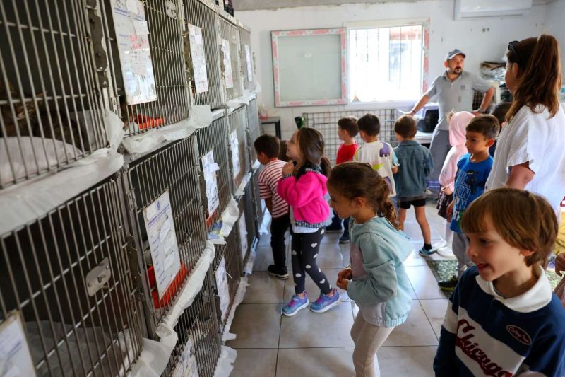 FROM RESCUE TO REHOMING: BODRUM MUNICIPALITY EXPANDS ANIMAL CARE NETWORK
