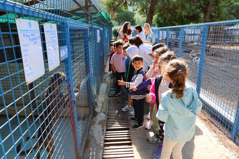 FROM RESCUE TO REHOMING: BODRUM MUNICIPALITY EXPANDS ANIMAL CARE NETWORK