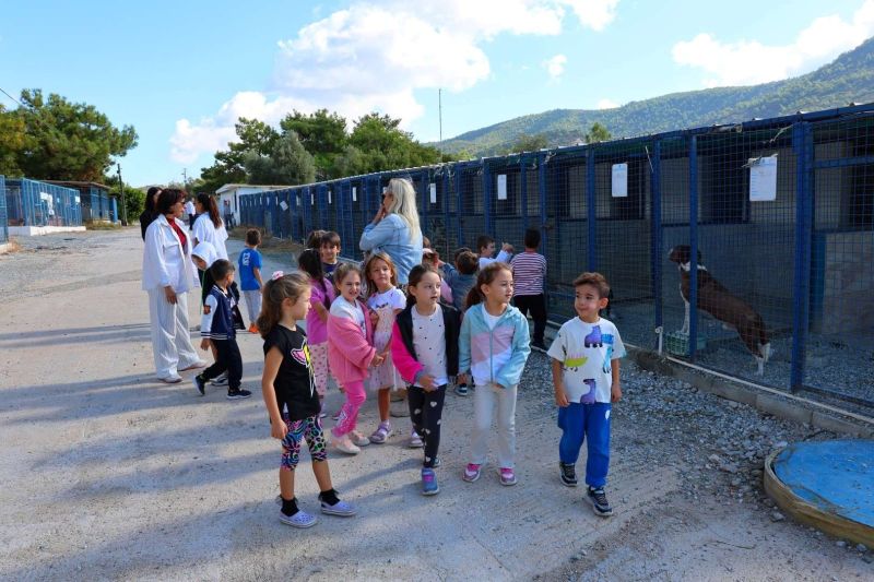 FROM RESCUE TO REHOMING: BODRUM MUNICIPALITY EXPANDS ANIMAL CARE NETWORK
