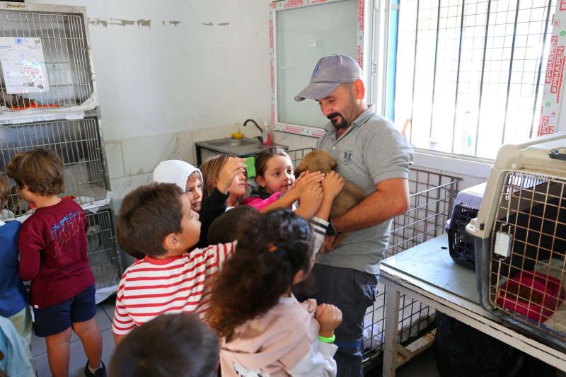 FROM RESCUE TO REHOMING: BODRUM MUNICIPALITY EXPANDS ANIMAL CARE NETWORK