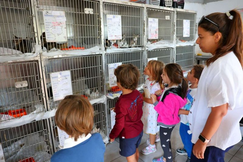 FROM RESCUE TO REHOMING: BODRUM MUNICIPALITY EXPANDS ANIMAL CARE NETWORK