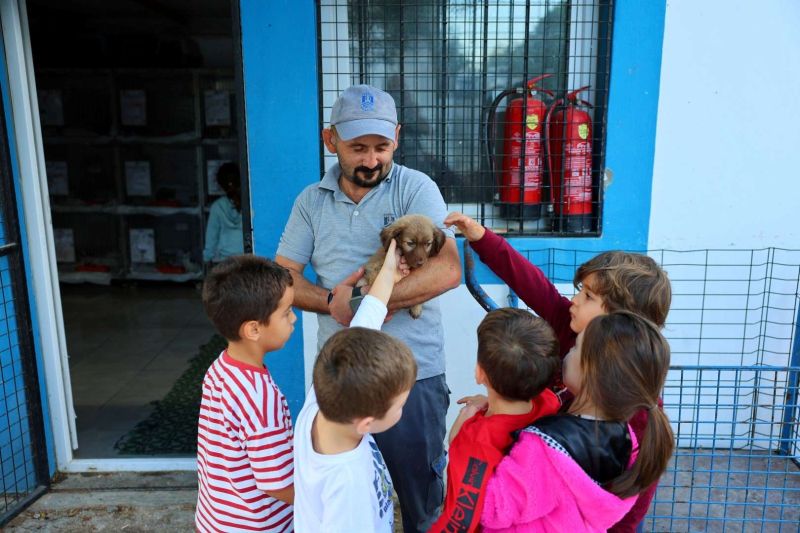 FROM RESCUE TO REHOMING: BODRUM MUNICIPALITY EXPANDS ANIMAL CARE NETWORK