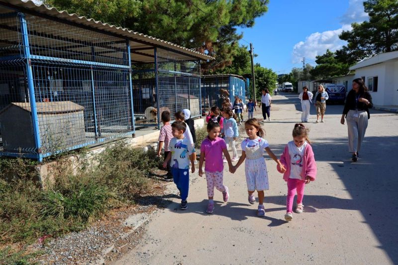 FROM RESCUE TO REHOMING: BODRUM MUNICIPALITY EXPANDS ANIMAL CARE NETWORK
