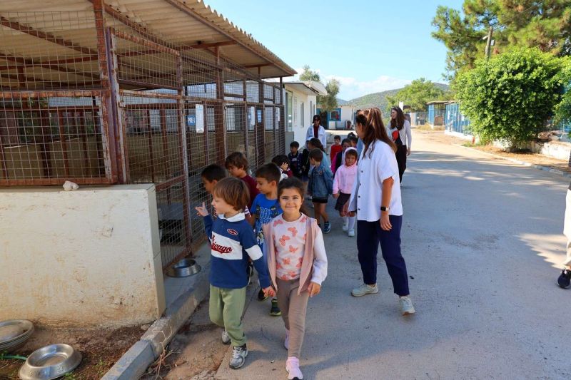 FROM RESCUE TO REHOMING: BODRUM MUNICIPALITY EXPANDS ANIMAL CARE NETWORK