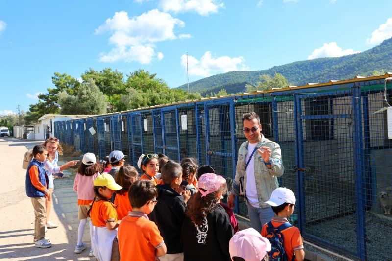 FROM RESCUE TO REHOMING: BODRUM MUNICIPALITY EXPANDS ANIMAL CARE NETWORK