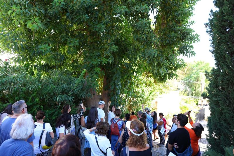 HALİKARNAS BALIKÇISI BODRUM’DA ANILDI