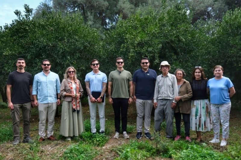 YEŞİL BODRUM MANDALİNİ’NE TEK SEFERDE 55 TONLUK SİPARİŞ