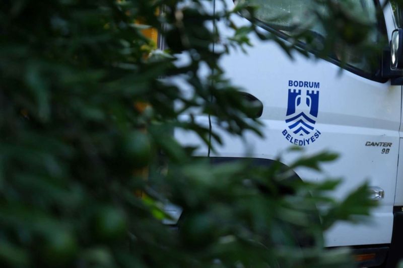 YEŞİL BODRUM MANDALİNİ’NE TEK SEFERDE 55 TONLUK SİPARİŞ