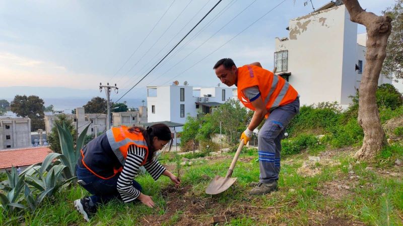 BODRUM BELEDİYESİ ÇOCUKLARI DOĞAYLA BULUŞTURDU