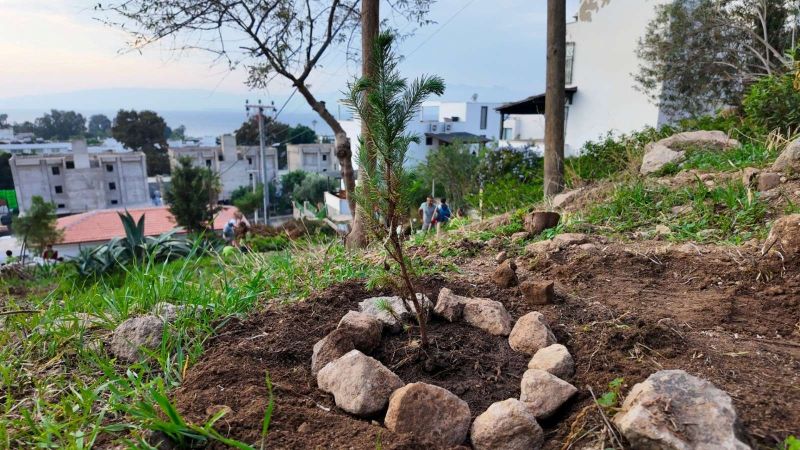 BODRUM BELEDİYESİ ÇOCUKLARI DOĞAYLA BULUŞTURDU