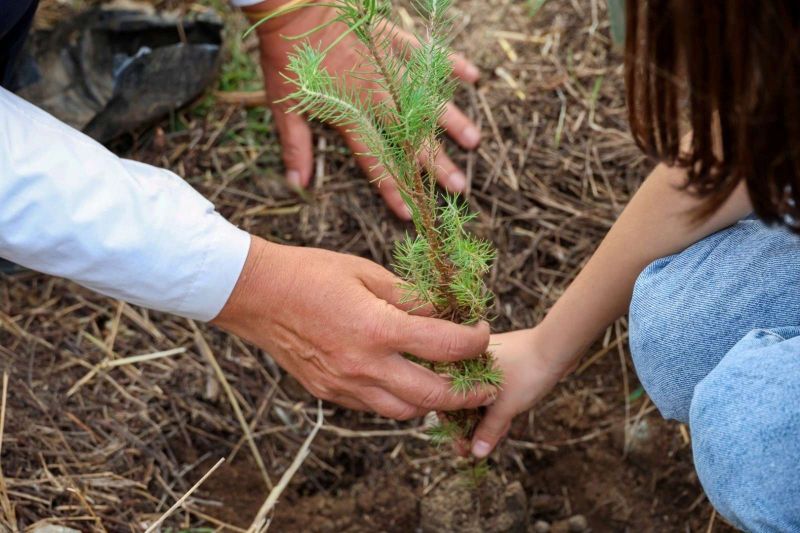 BODRUM BELEDİYESİ ÇOCUKLARI DOĞAYLA BULUŞTURDU
