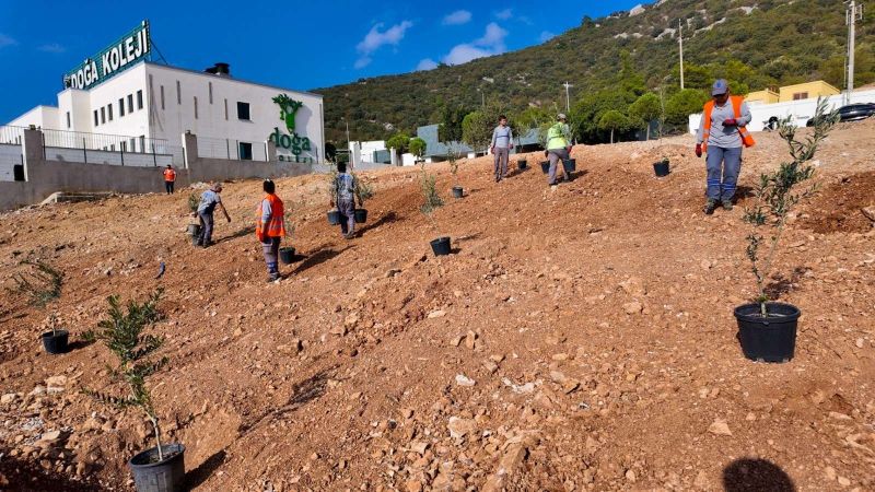 BODRUM BELEDİYESİ ÇOCUKLARI DOĞAYLA BULUŞTURDU