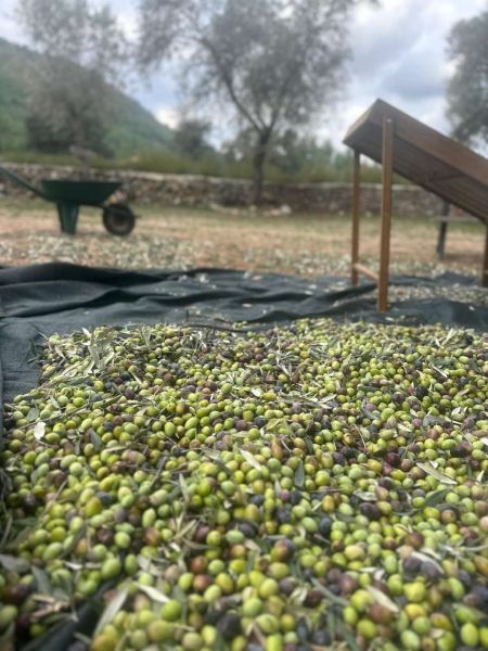 BELEDİYEDEN ÜRETİCİYE TEKNİK DESTEK VE ÖZEL BAKIM REHBERİ