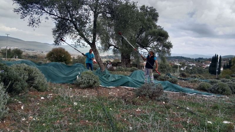 BELEDİYEDEN ÜRETİCİYE TEKNİK DESTEK VE ÖZEL BAKIM REHBERİ