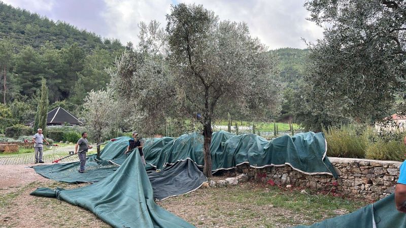 BELEDİYEDEN ÜRETİCİYE TEKNİK DESTEK VE ÖZEL BAKIM REHBERİ