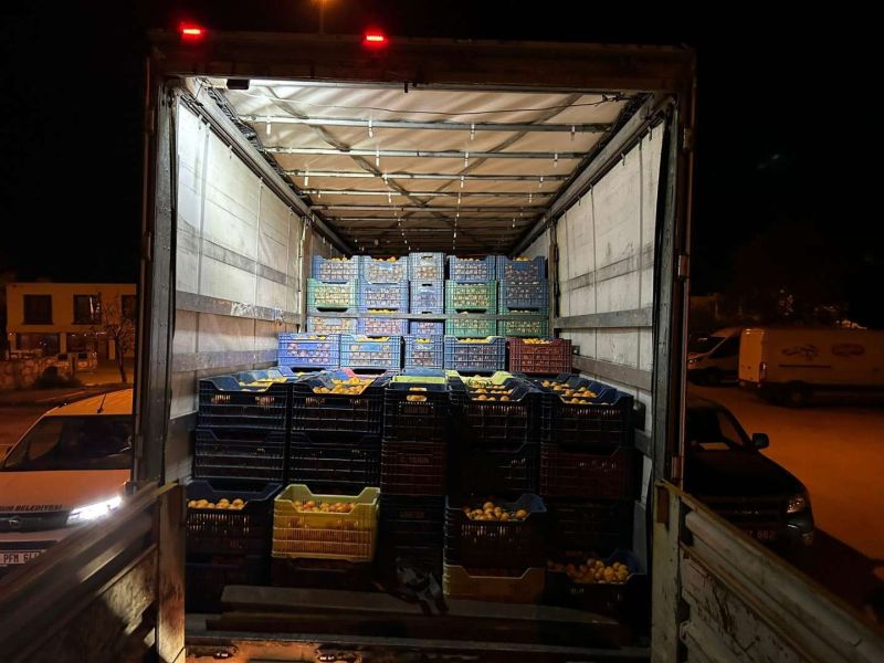 BODRUM MANDALİNİ TÜRKİYE’NİN DÖRT BİR YANINA ULAŞIYOR