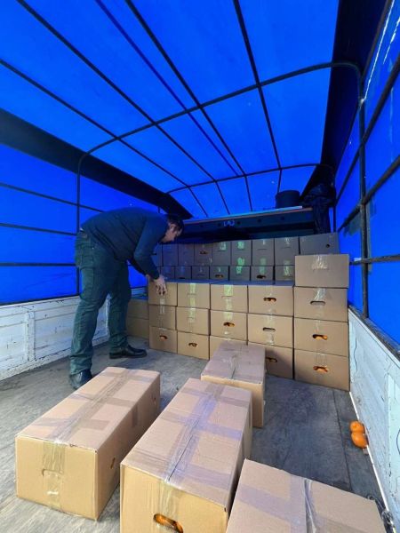 BODRUM MANDALİNİ TÜRKİYE’NİN DÖRT BİR YANINA ULAŞIYOR