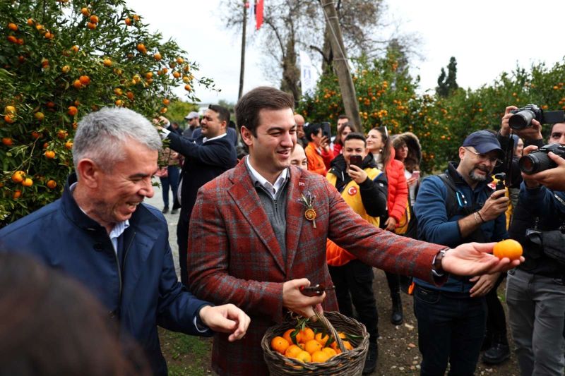 BODRUM MANDALİNİ TÜRKİYE’NİN DÖRT BİR YANINA ULAŞIYOR