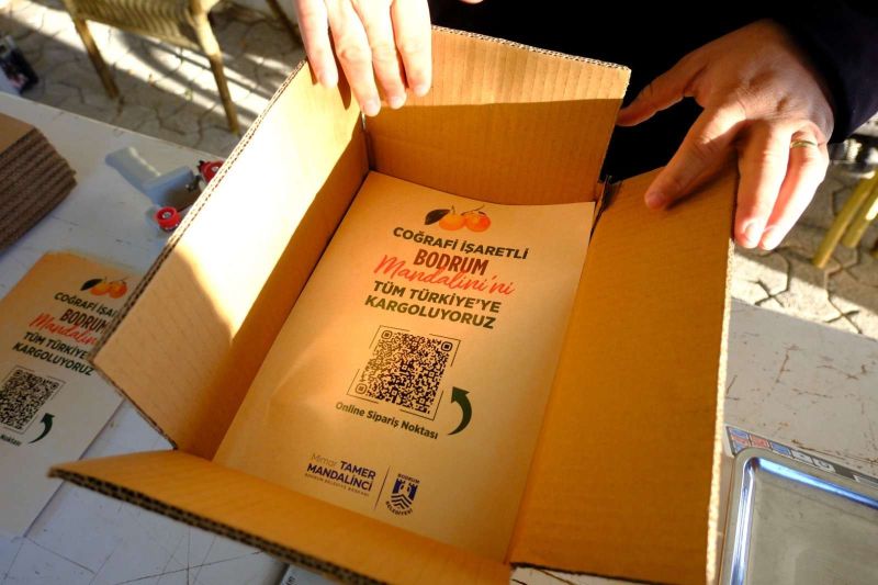 BODRUM MANDALİNİ TÜRKİYE’NİN DÖRT BİR YANINA ULAŞIYOR