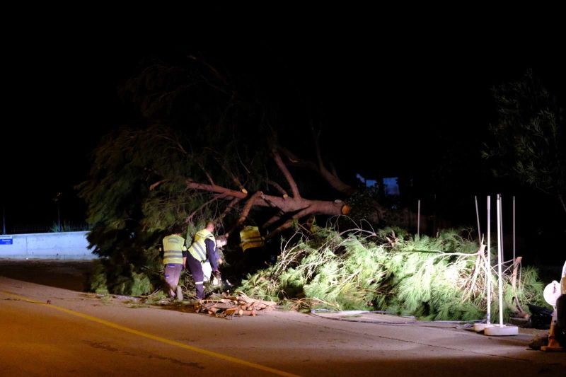 PARK VE BAHÇELER EKİPLERİ FIRTINADA SAHADAYDI