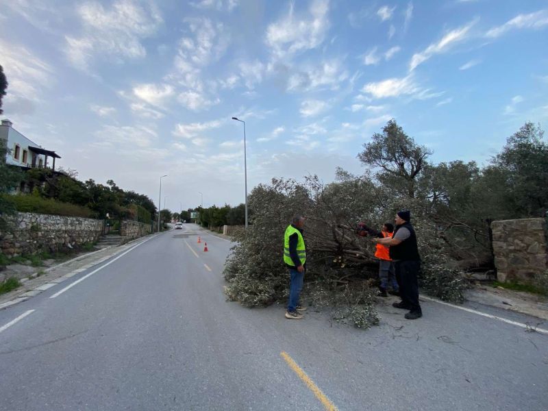 PARK VE BAHÇELER EKİPLERİ FIRTINADA SAHADAYDI