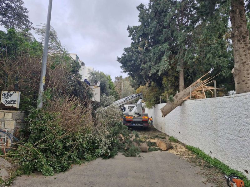 PARK VE BAHÇELER EKİPLERİ FIRTINADA SAHADAYDI