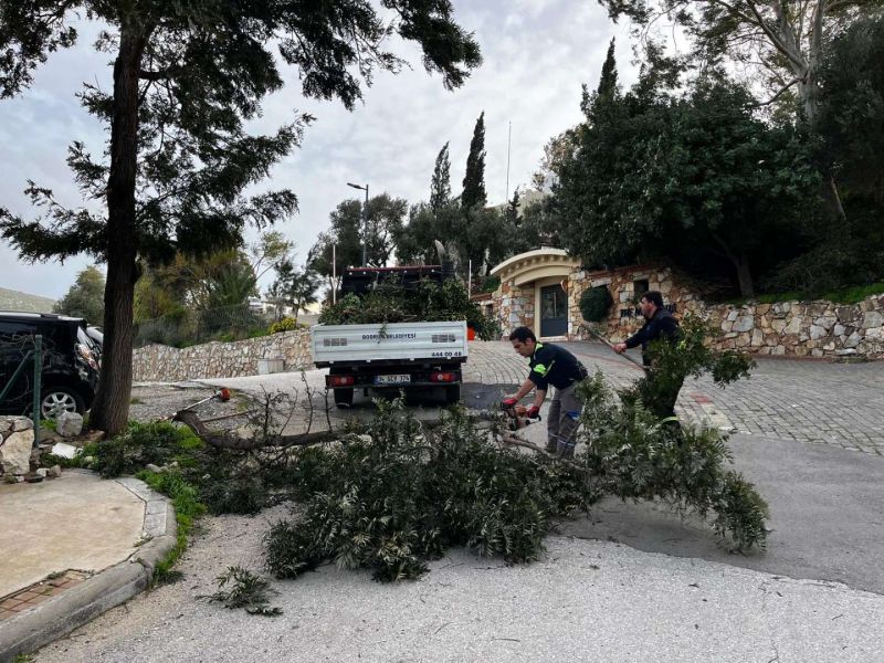 PARK VE BAHÇELER EKİPLERİ FIRTINADA SAHADAYDI