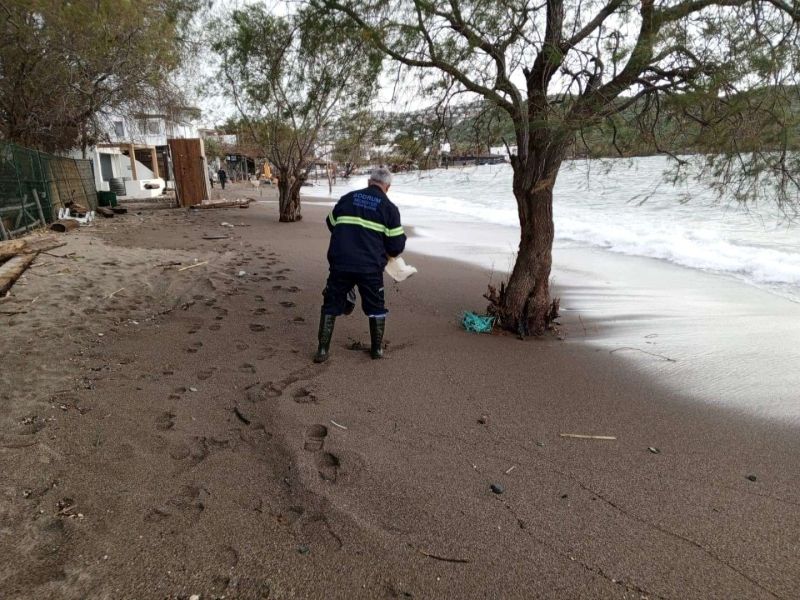 BELEDİYE EKİPLERİNDEN FIRTINA VE YAĞMUR SONRASI KAPSAMLI TEMİZLİK