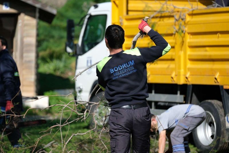 FIRTINADA DEVRİLEN ILGIN AĞAÇLARI YENİDEN TOPRAKLA BULUŞUYOR
