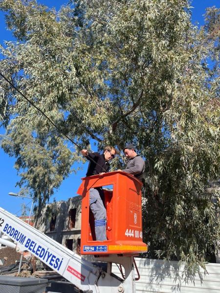 BELEDİYEDEN İLÇE GENELİNDE BAKIM VE ONARIM ÇALIŞMALARI