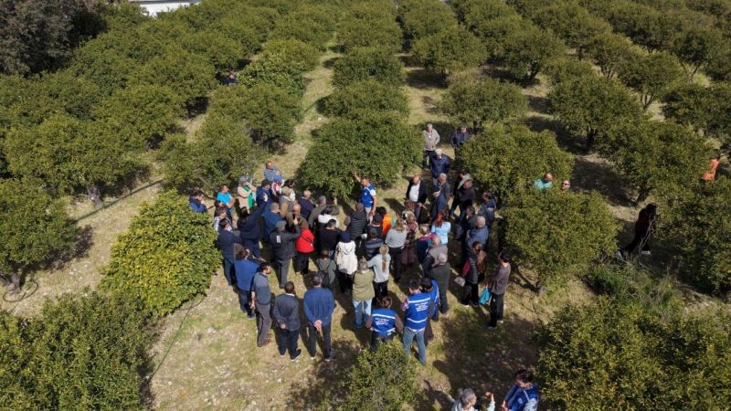 BODRUM’DA AĞAÇ BUDAMA EĞİTİMİ DÜZENLENDİ