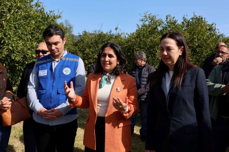 BODRUM’DA AĞAÇ BUDAMA EĞİTİMİ DÜZENLENDİ