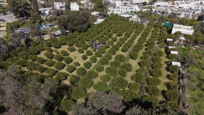 BODRUM’DA AĞAÇ BUDAMA EĞİTİMİ DÜZENLENDİ