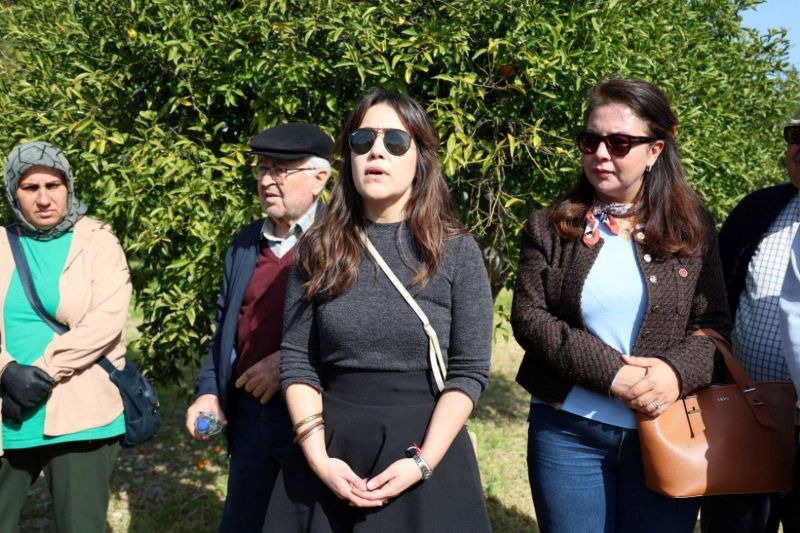 BODRUM’DA AĞAÇ BUDAMA EĞİTİMİ DÜZENLENDİ