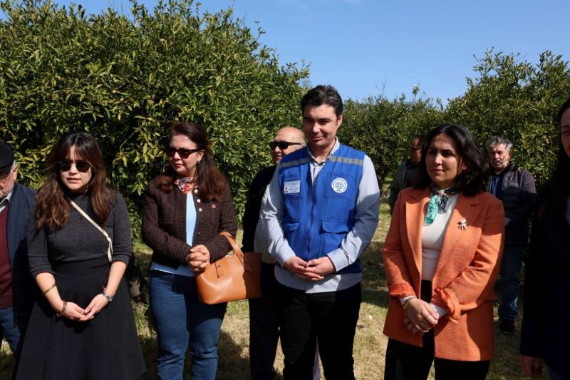 BODRUM’DA AĞAÇ BUDAMA EĞİTİMİ DÜZENLENDİ