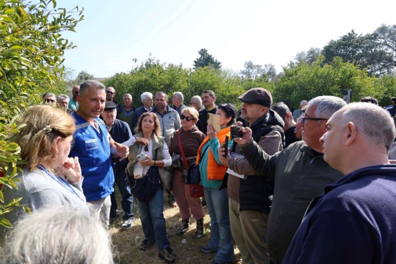 BODRUM’DA AĞAÇ BUDAMA EĞİTİMİ DÜZENLENDİ